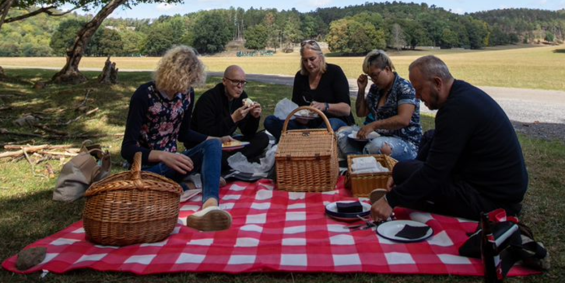 de deelnemers aan Taboe en Philippe Geubels zijn aan het picknicken in een mooie weide