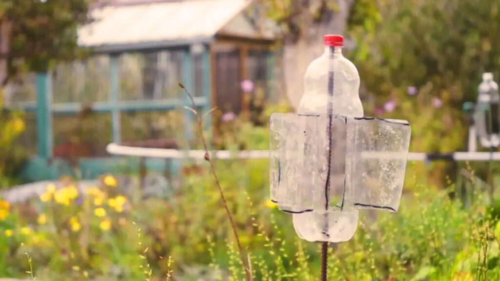 De truc om knaagdieren en mollen uit de tuin te houden met een eenvoudige plastic fles